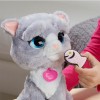 Котенок Бутси FurReal Friends Hasbro B5936 Котенок Бутси FurReal Friends Hasbro B5936
