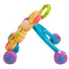 Ходунки "Сестричка Ученого Щенка" Fisher-Price FRD06