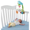 Мобиль 3в1 "Друзья из тропического леса" Fisher-Price CHR11